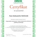 Powiększ obraz: certificate 9