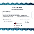 Powiększ obraz: certificate 9