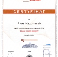 Powiększ obraz: certificate 9