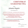 Powiększ obraz: certificate 4