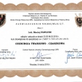 Powiększ obraz: certificate 28