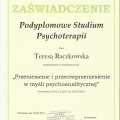 Powiększ obraz: certificate 14