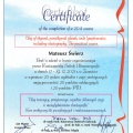 Powiększ obraz: certificate 8