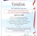 Powiększ obraz: certificate 1