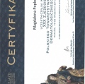 Powiększ obraz: certificate 17