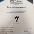 Powiększ obraz: certificate 4