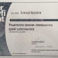 Powiększ obraz: certificate 9