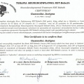 Powiększ obraz: certificate 2
