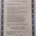 Powiększ obraz: certificate 5