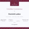 Powiększ obraz: certificate 102