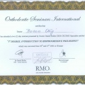 Powiększ obraz: certificate 11