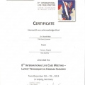 Powiększ obraz: certificate 8