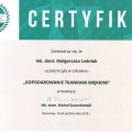 Powiększ obraz: certificate 4
