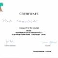 Powiększ obraz: certificate 5