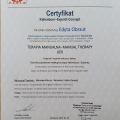 Powiększ obraz: certificate 3