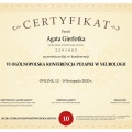 Powiększ obraz: certificate 81