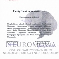 Powiększ obraz: certificate 15
