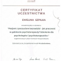 Powiększ obraz: certificate 47