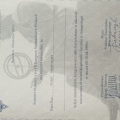 Powiększ obraz: certificate 29