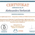 Powiększ obraz: certificate 11