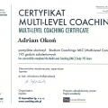 Powiększ obraz: certificate 6