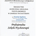 Powiększ obraz: certificate 2