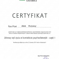 Powiększ obraz: certificate 9