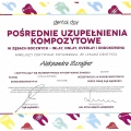Powiększ obraz: certificate 2