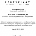 Powiększ obraz: certificate 8