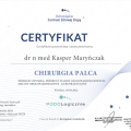 Powiększ obraz: certificate 13