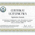 Powiększ obraz: certificate 7
