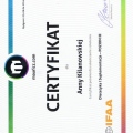 Powiększ obraz: certificate 6