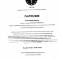 Powiększ obraz: certificate 8