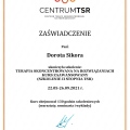 Powiększ obraz: certificate 8