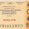 Powiększ obraz: certificate 6