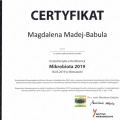 Powiększ obraz: certificate 9