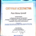 Powiększ obraz: certificate 4