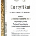 Powiększ obraz: certificate 11