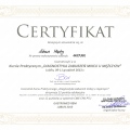 Powiększ obraz: certificate 9