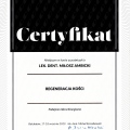 Powiększ obraz: certificate 7