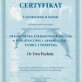 Powiększ obraz: certificate 13