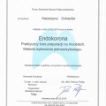 Powiększ obraz: certificate 11