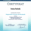 Powiększ obraz: certificate 4