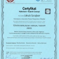 Powiększ obraz: certificate 9
