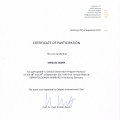 Powiększ obraz: certificate 8