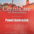 Powiększ obraz: certificate 4