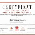 Powiększ obraz: certificate 4