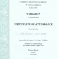 Powiększ obraz: certificate 8