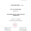 Powiększ obraz: certificate 3