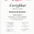 Powiększ obraz: certificate 3